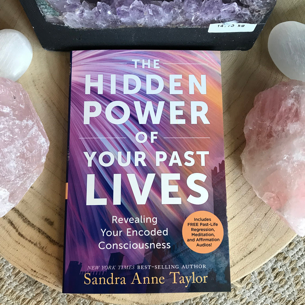 The Hidden Power of Past Lives by Sandra Anne Taylor