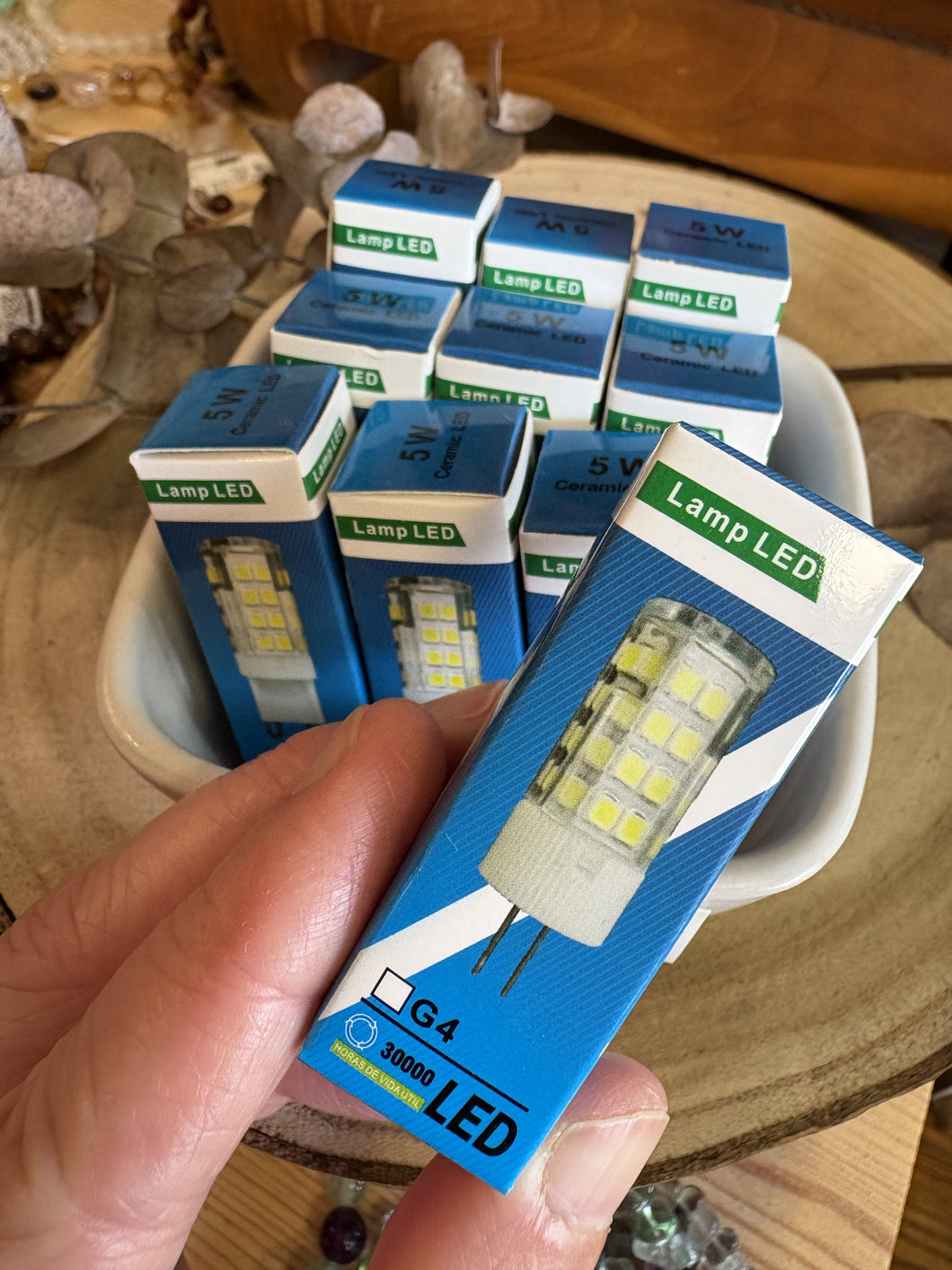 LED Replacement Light Bulbs