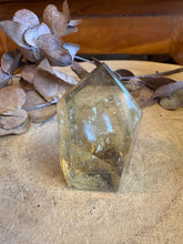 Citrine Facet Cut Freeform SKU 25046