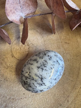 Dendritic Opal Palm Stone SKU 25600
