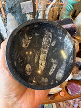 Orthoceras Bowl SKU 26048B