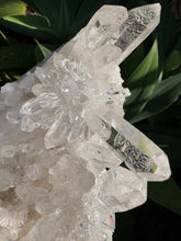 Clear Quartz Cluster on Stand SKU 26385