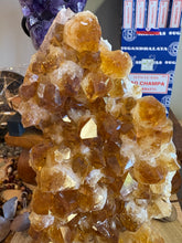 Citrine Cluster in Wooden Stand SKU 24533
