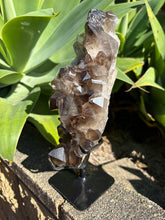 Smoky Quartz Cluster in Stand SKU 26629