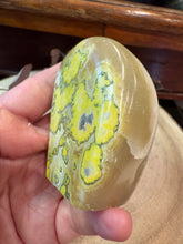 Bumblebee Jasper Freeform SKU 26777