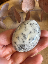 Dendritic Opal Palm Stone SKU 25597
