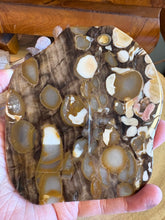Peanut Wood Jasper Slice SKU 25087