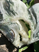 Tree Agate Heart on Stand SKU 26598