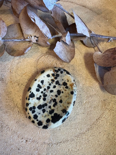 Dalmatian Jasper Worry Stone SKU 24993