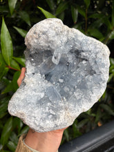 Celestite Geode Cluster SKU 26188
