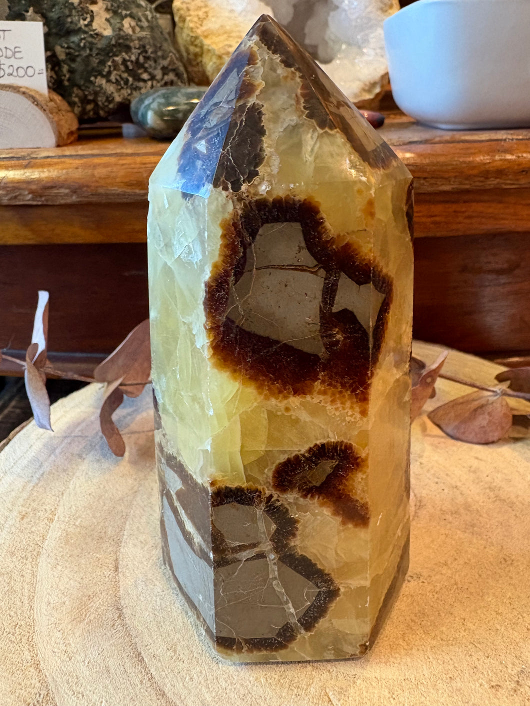 Septarian Point SKU 26670