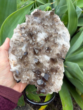 Smoky Quartz Cluster in Stand SKU 26173