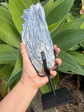 Blue Kyanite Cluster on Stand SKU 26264