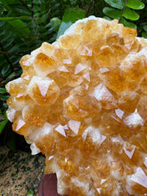 Citrine Cluster in Wooden Stand SKU 24910