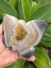 Druzy Agate Butterfly Carving SKU 27044