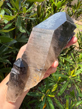 Smoky Quartz Cluster SKU 24537