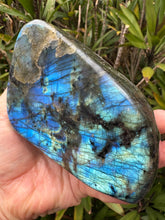 Labradorite Polished Freeform SKU 25471