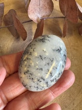 Dendritic Opal Palm Stone SKU 25599