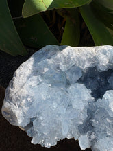 Celestite Cluster SKU 26187