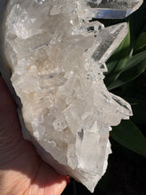 Clear Quartz Cluster on Stand SKU 26385