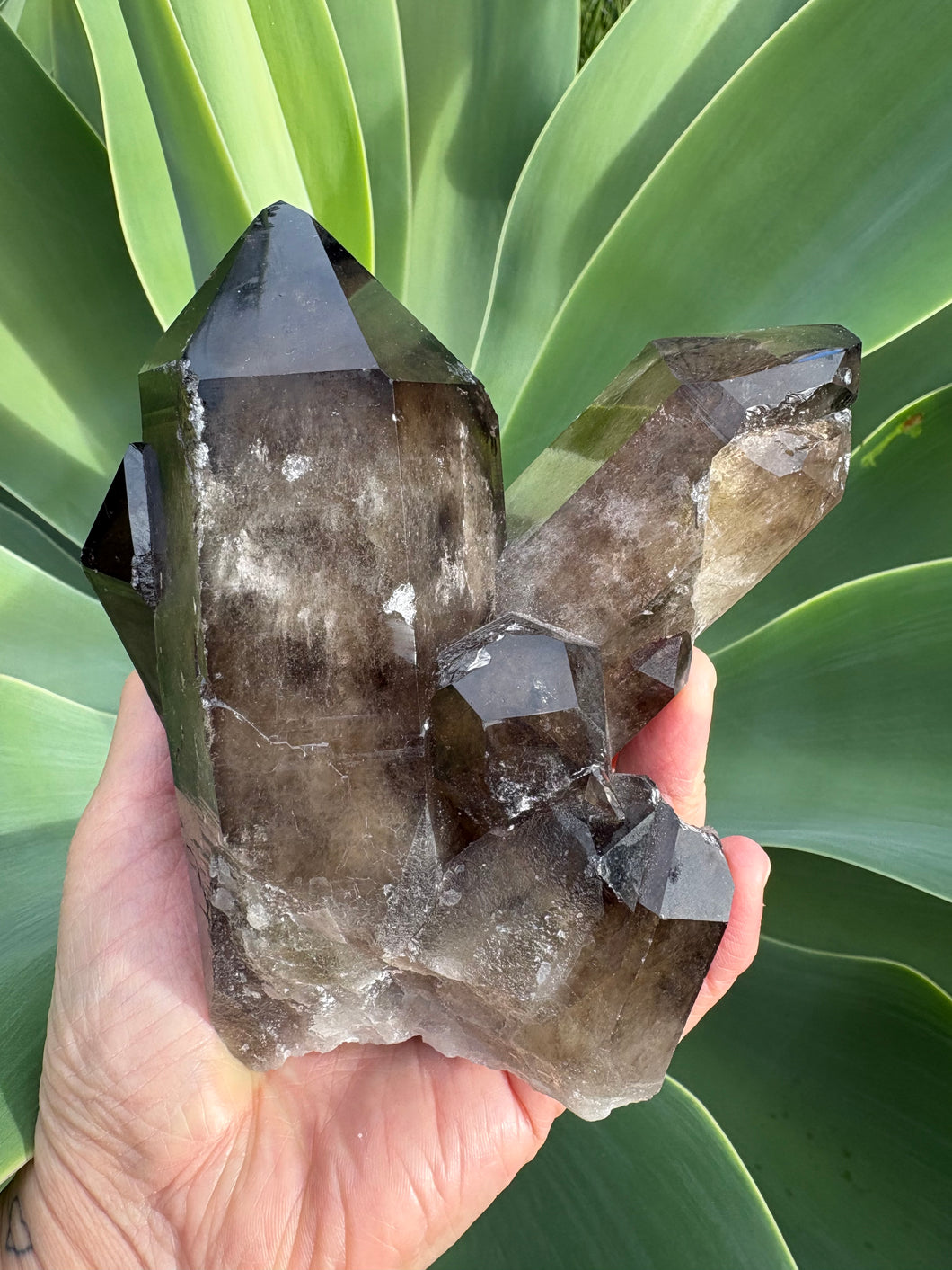 Smoky Quartz Large Cluster SKU 26189