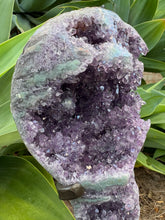 Amethyst Cluster in Stand SKU 26289