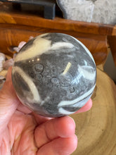 Shell Jasper Sphere SKU 24577