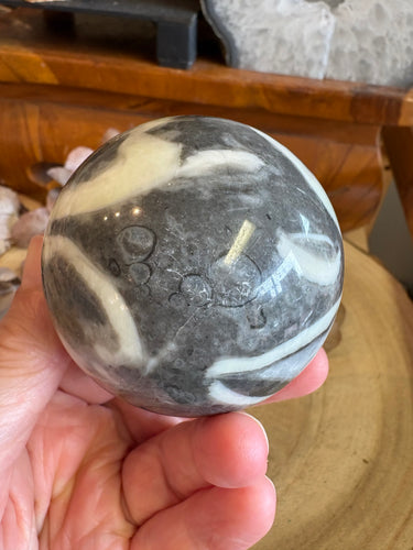 Shell Jasper Sphere SKU 24577