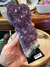 Amethyst Cluster on Stand SKU 26627