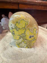 Bumblebee Jasper Freeform SKU 26777