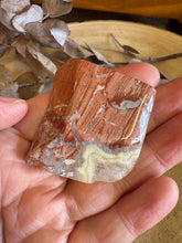 Red Silver Leaf Jasper SKU 23984B