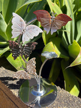 Ocean Jasper Butterfly Display Stand SKU 26779