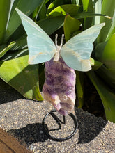 Blue Onyx Butterfly on Chevron Amethyst Chunk SKU 26761