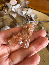 Aragonite Sputnik SKU 24423
