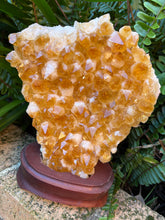 Citrine Cluster in Wooden Stand SKU 24909