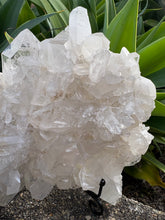Clear Quartz Cluster SKU 26028