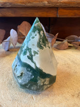Tree Agate Diamond Freeform SKU 26602