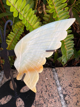 Amazonite Winged Butterfly SKU 25316