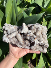 Quartz on Chalcedony Cluster SKU 25879