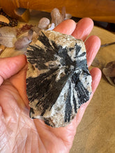 Black Tourmaline in Matrix Specimen SKU 24959