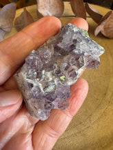Amethyst Small Cluster SKU 23387