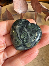 Kambaba Jasper Heart SKU 26091