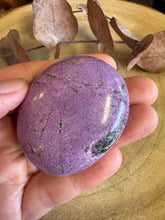 Serpentine & Stichtite Palm Stone SKU 25743