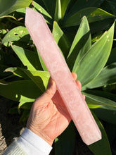 Rose Quartz Point SKU 26571