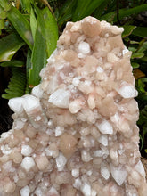 Apophyllite & Stilbite Standing Cluster SKU 24327