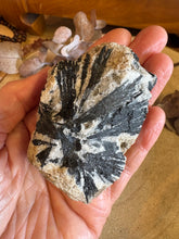 Black Tourmaline in Matrix Specimen SKU 24959