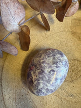 Unicorn Stone Palm Stone SKU 26071