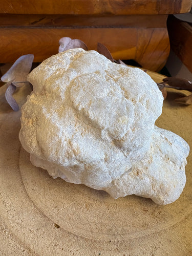 Cracked Quartz Geode Pair SKU 26297A