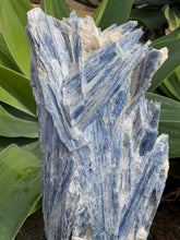 Blue Kyanite Cluster on Stand SKU 26264