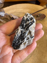 Black Tourmaline in Matrix Specimen SKU 24965